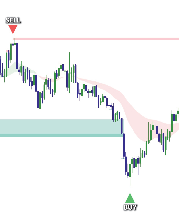 Elev8+ chart layout preview